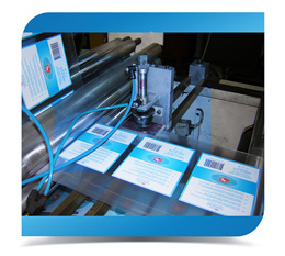 SACHETS A CORDONNETS PROFILE 002